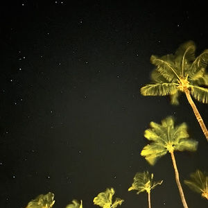 Meet your Posher, Quinn